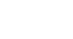 AIG logo_white
