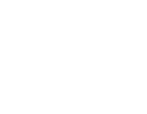 websummit_logo_white